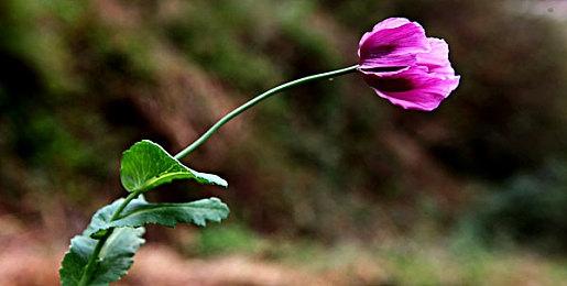 《世嘉拉力》UE5重制版《Over Jump》试玩发布